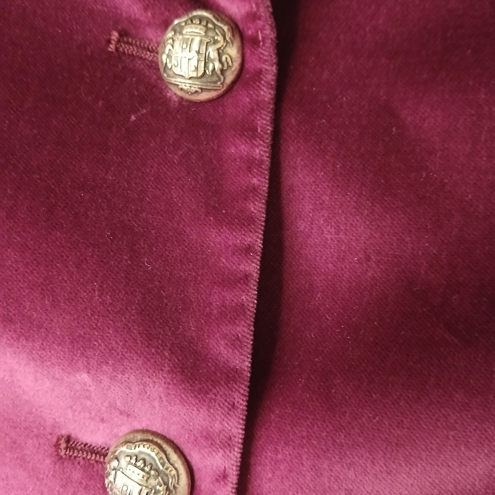 Tagliatore Women's Blazer in Deep Purple Velvet - Picture 5 of 14